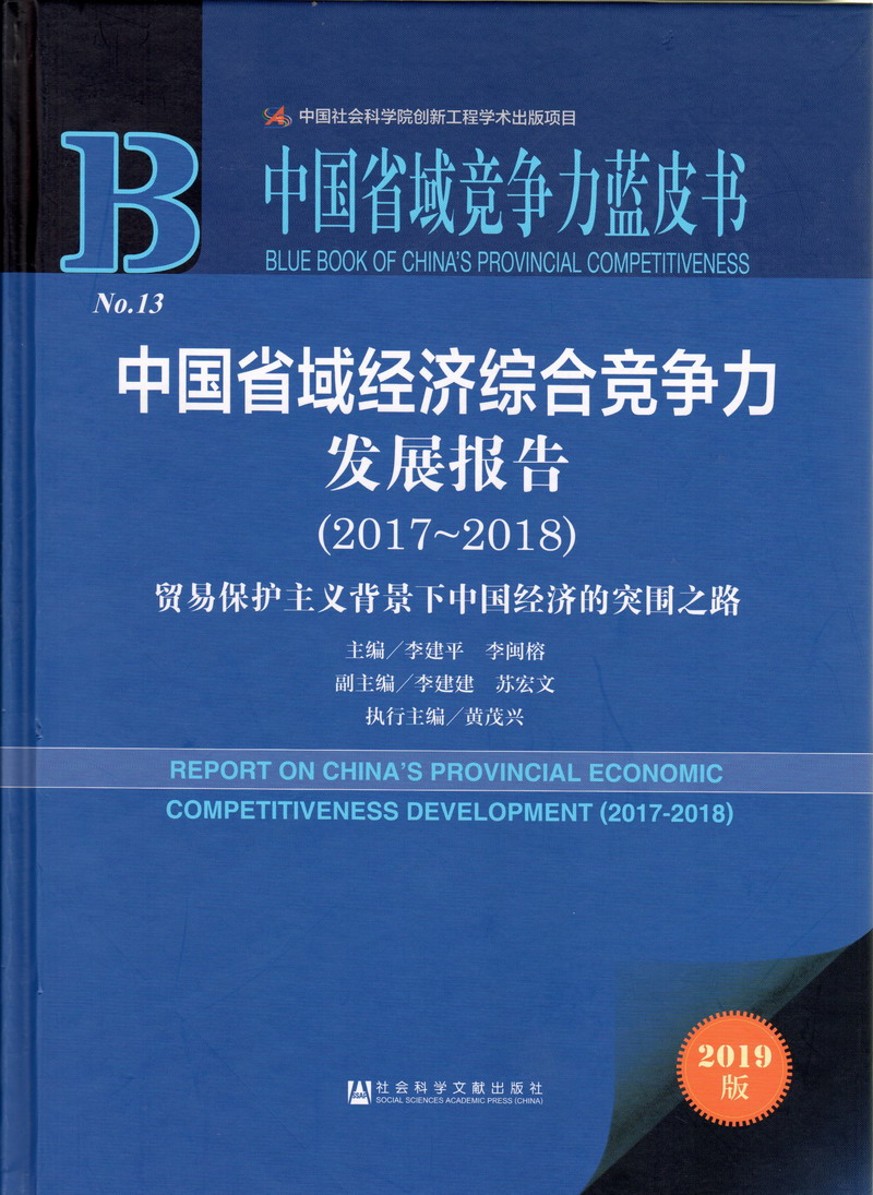 啊啊啊小骚逼好想要视频中国省域经济综合竞争力发展报告（2017-2018）